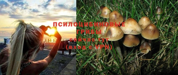 соль курить ск Богородск